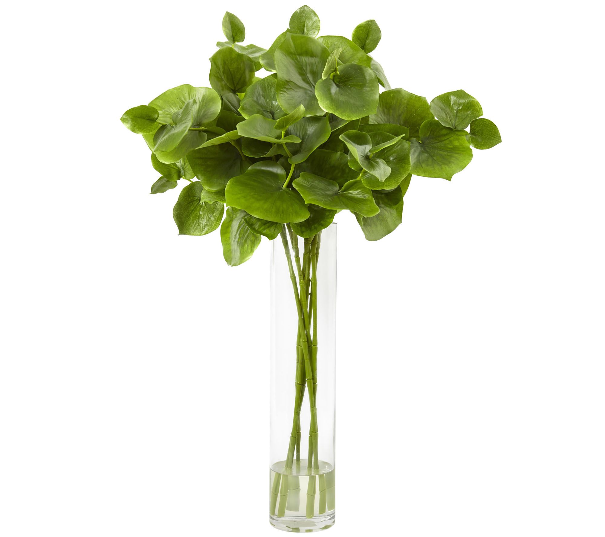 Lotus Branch Arrangement by Nearly Natural