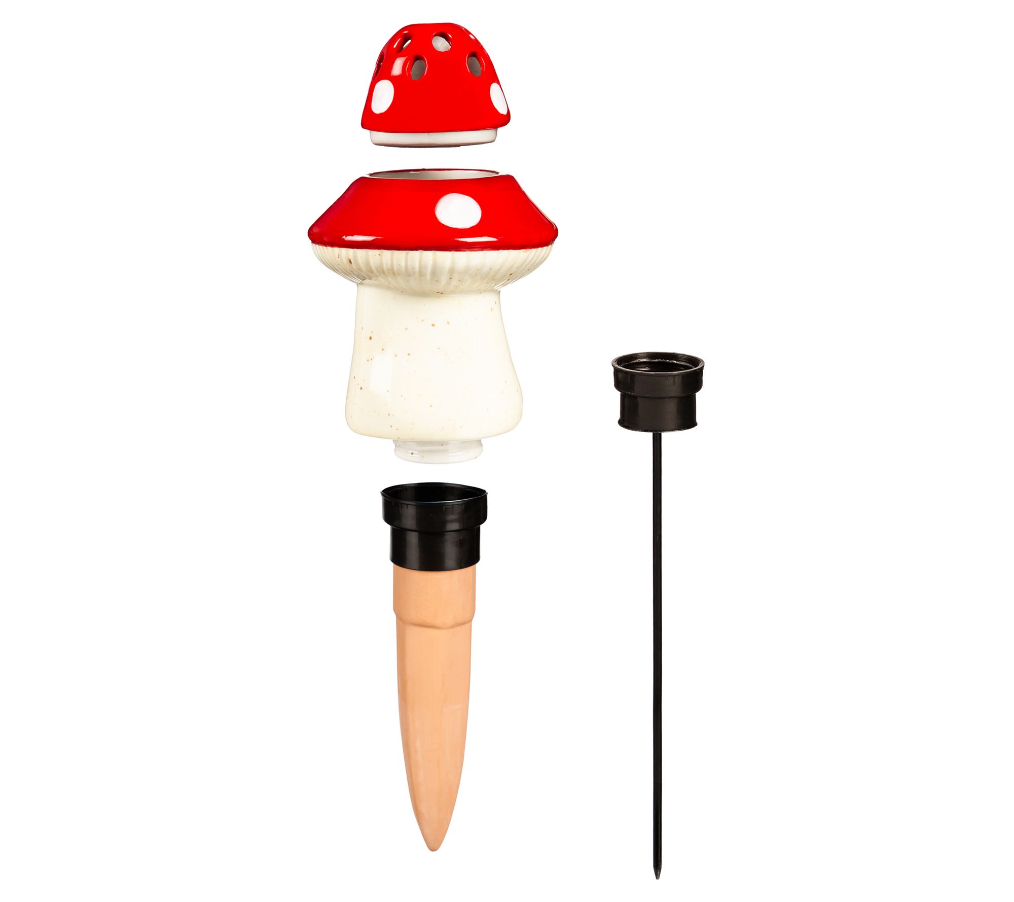 Evergreen Ceramic Fruit Fly/Fungus Trap & Watering Globe Set