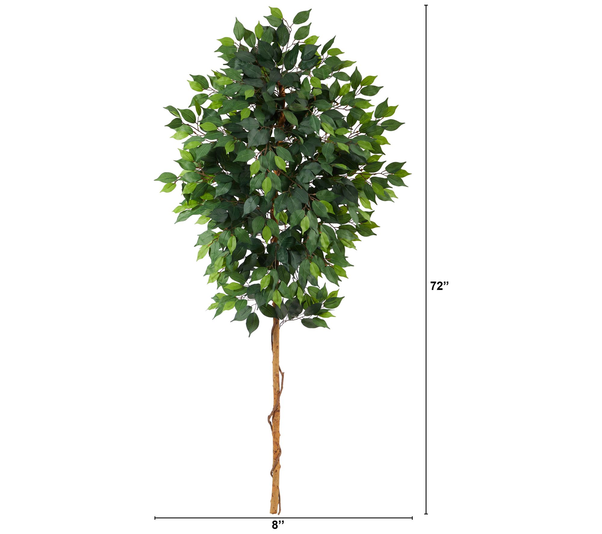 Nearly Natural 6' Ficus Artificial Tree (No Pot) - QVC.com