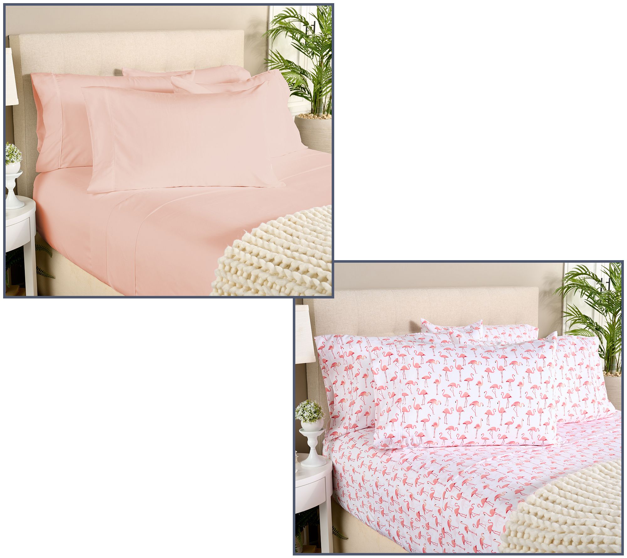 Home Reflections 2pk Double Brushed Sheet Sets with Extra Cases