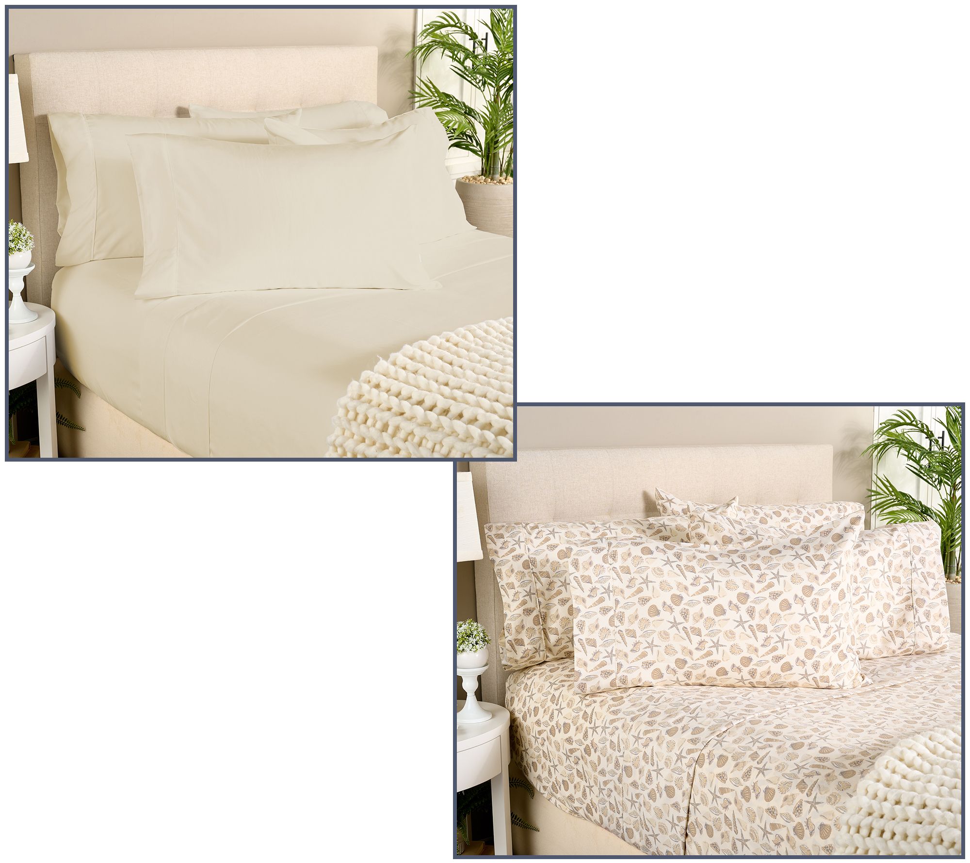 Home Reflections 2pk Double Brushed Sheet Sets with Extra Cases