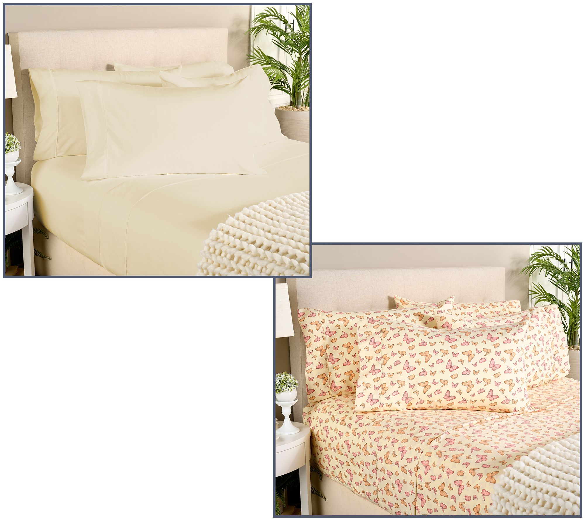Home Reflections 2pk Double Brushed Sheet Sets with Extra Cases