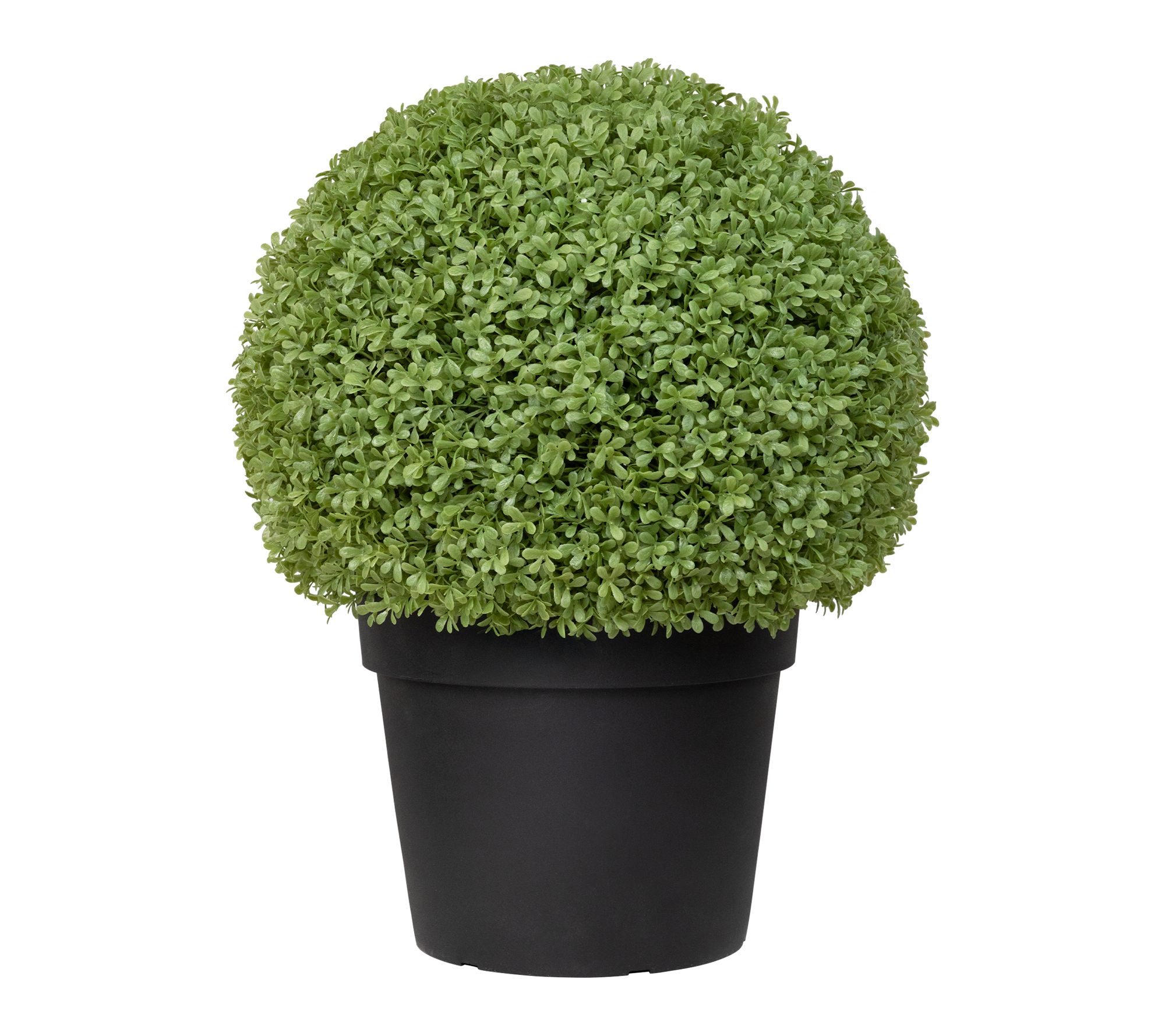 Northlight Boxwood Ball Artificial Topiary in Weighted Pot