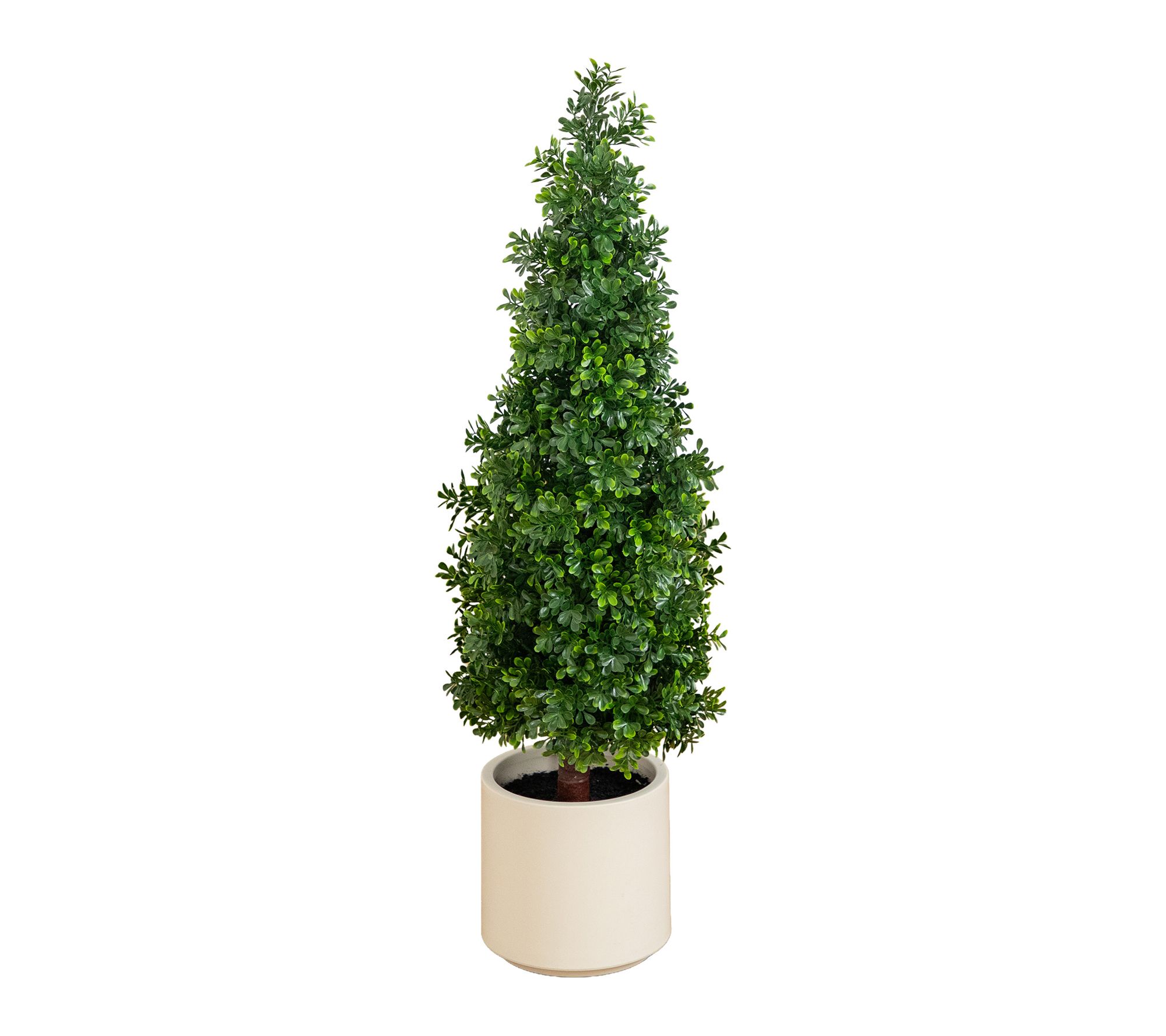 3-ft UV Boxwood Tree in White Planter by Nearly Natural