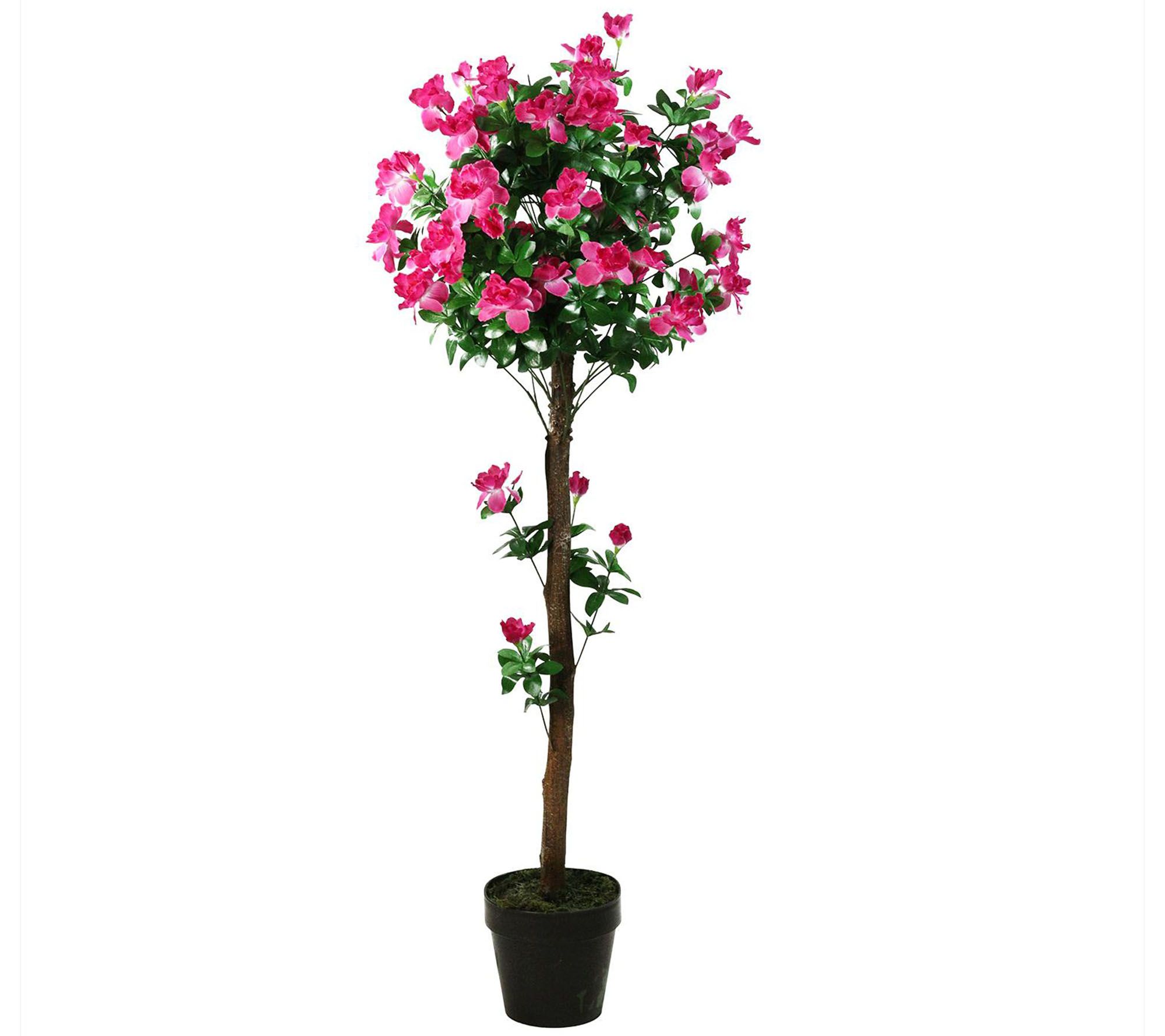 Northlight Decorative Potted Artificial Pink Azalea Tree - QVC.com