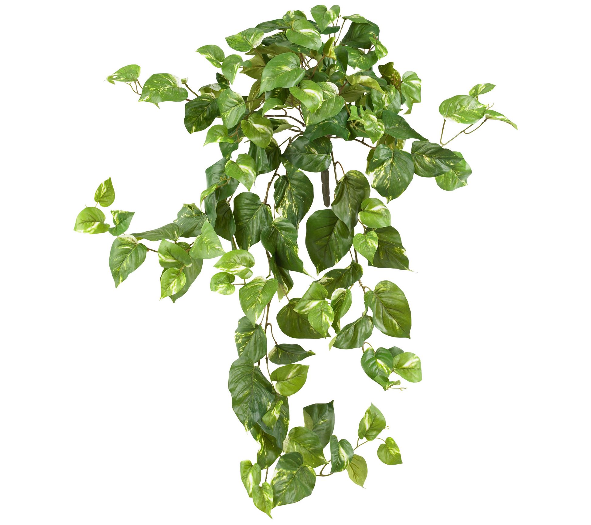 Pothos Hanging Bush Set of 3 by Nearly Natural