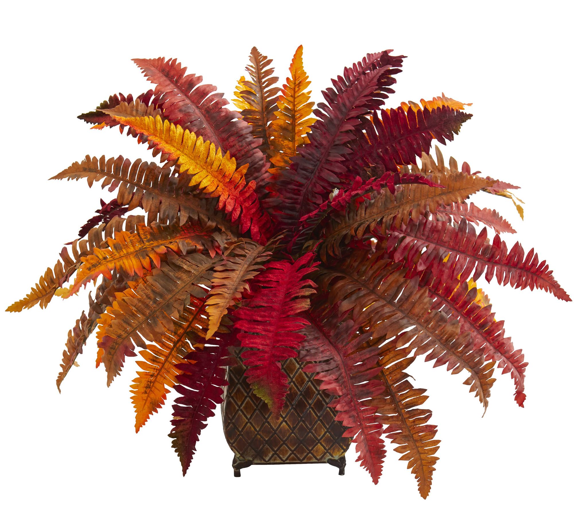 Autumn Boston Fern Plant In Planter By Nearly Natural Qvc Com