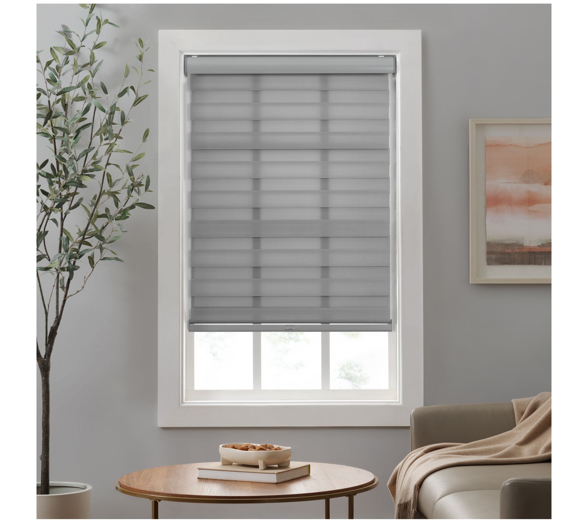 Eclipse Zebra Cordless Roller Shade 34x72 - QVC.com