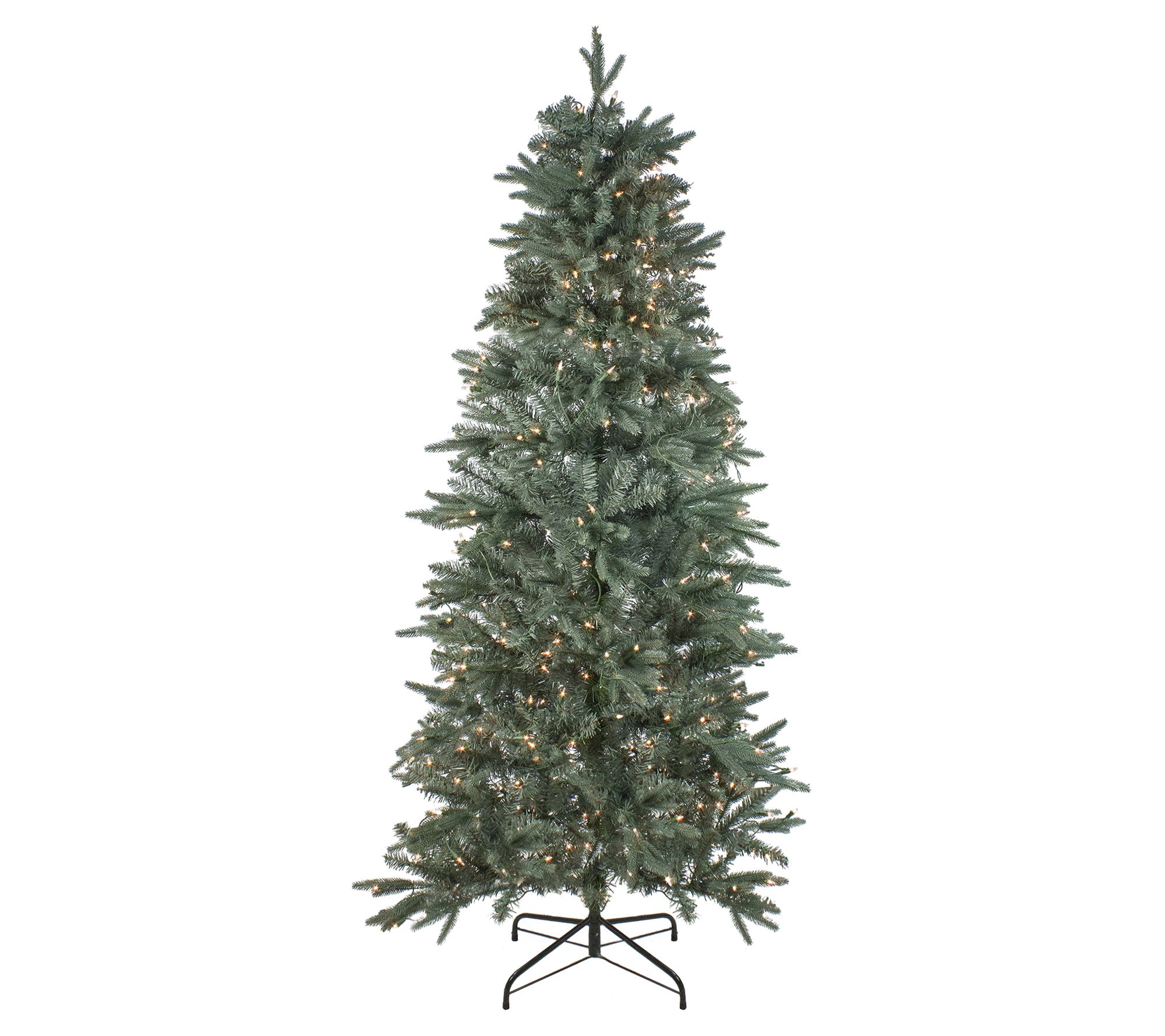 Northlight Washington Frasier Fir Tree - 9' - Clear Lights