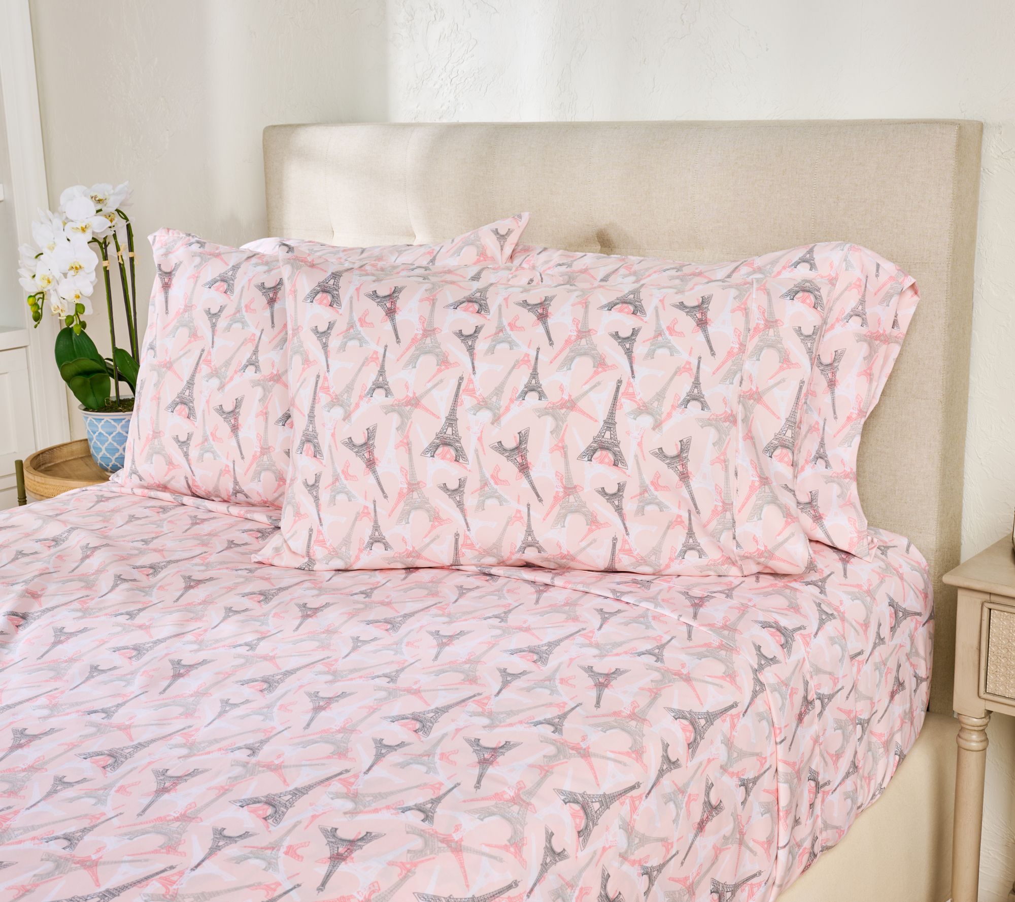 Home Reflection Double Brushed Novelty Printed Sheet Set with Extra Cases