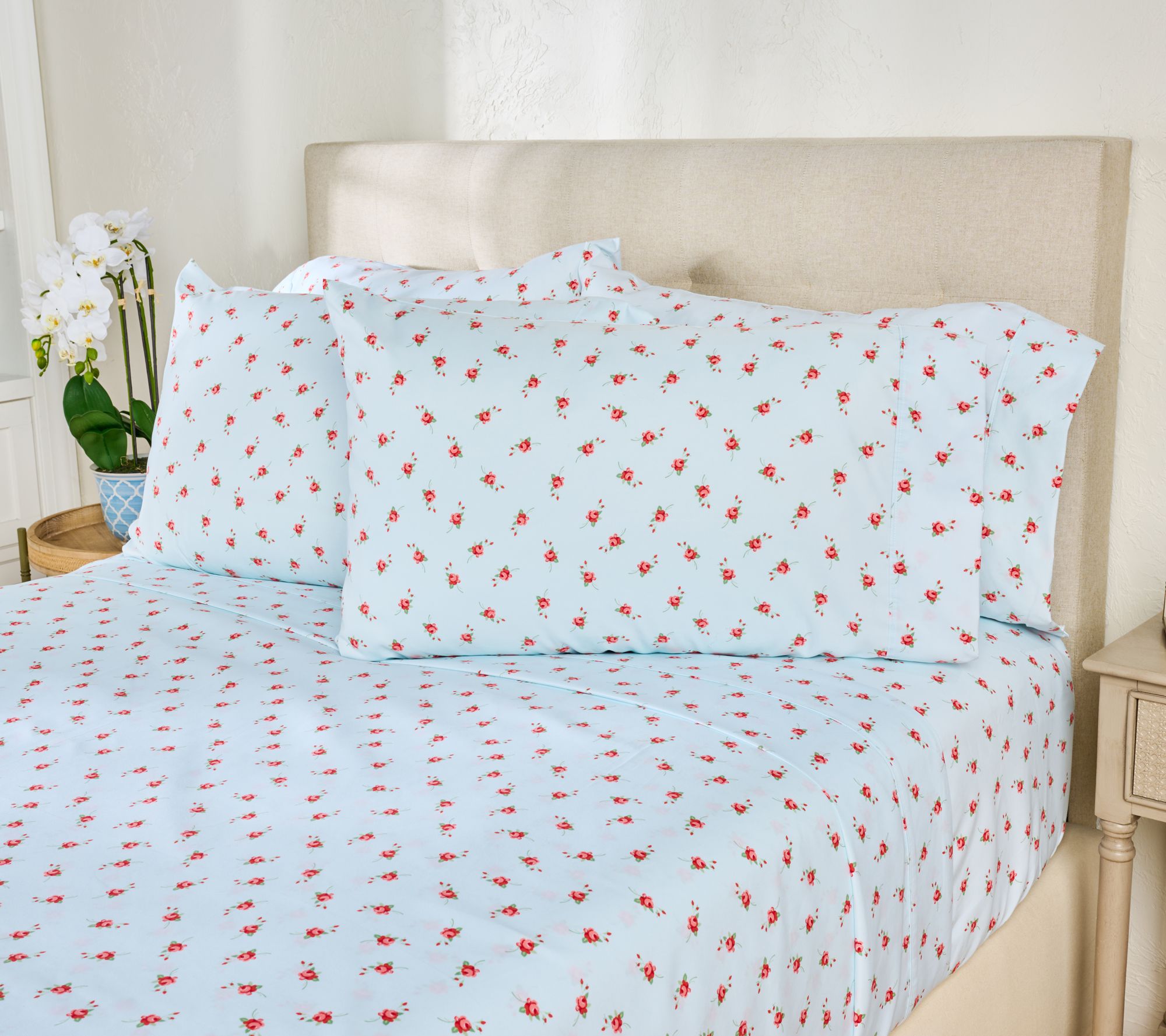 Home Reflection Double Brushed Novelty Printed Sheet Set with Extra Cases