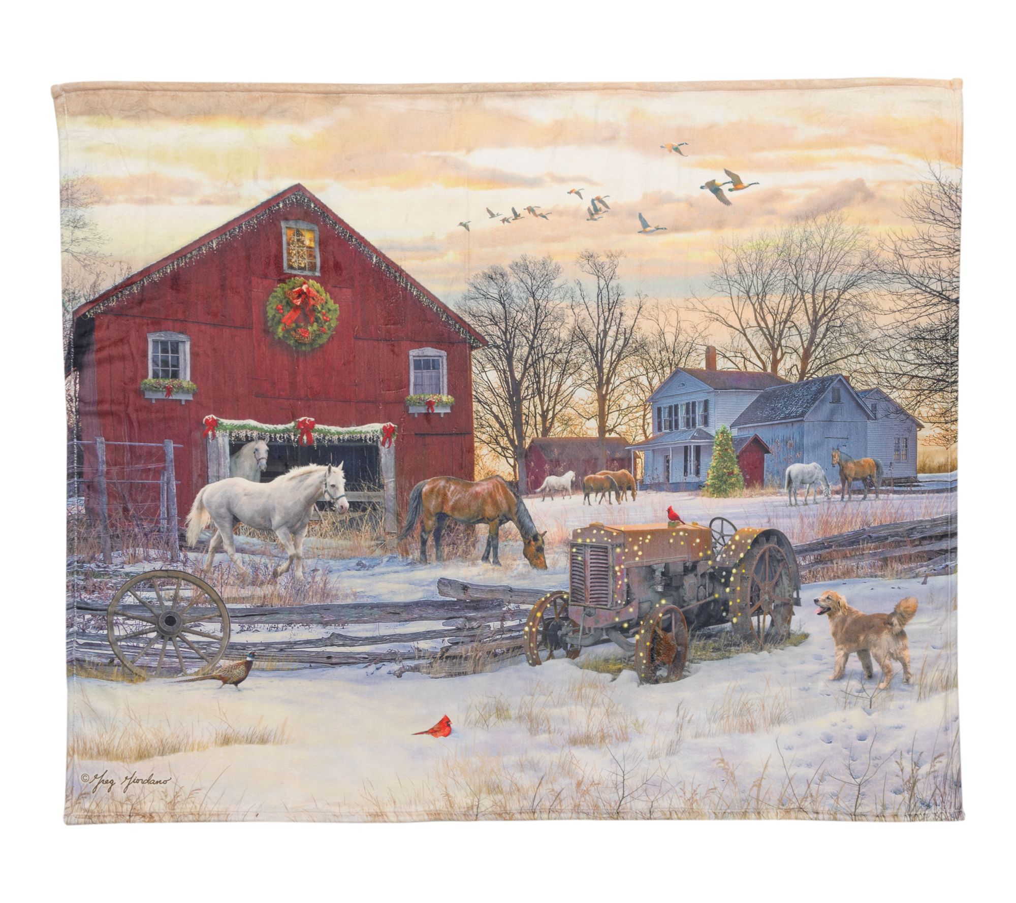 Berkshire 60x70 Winter Scenes Giordano Throw