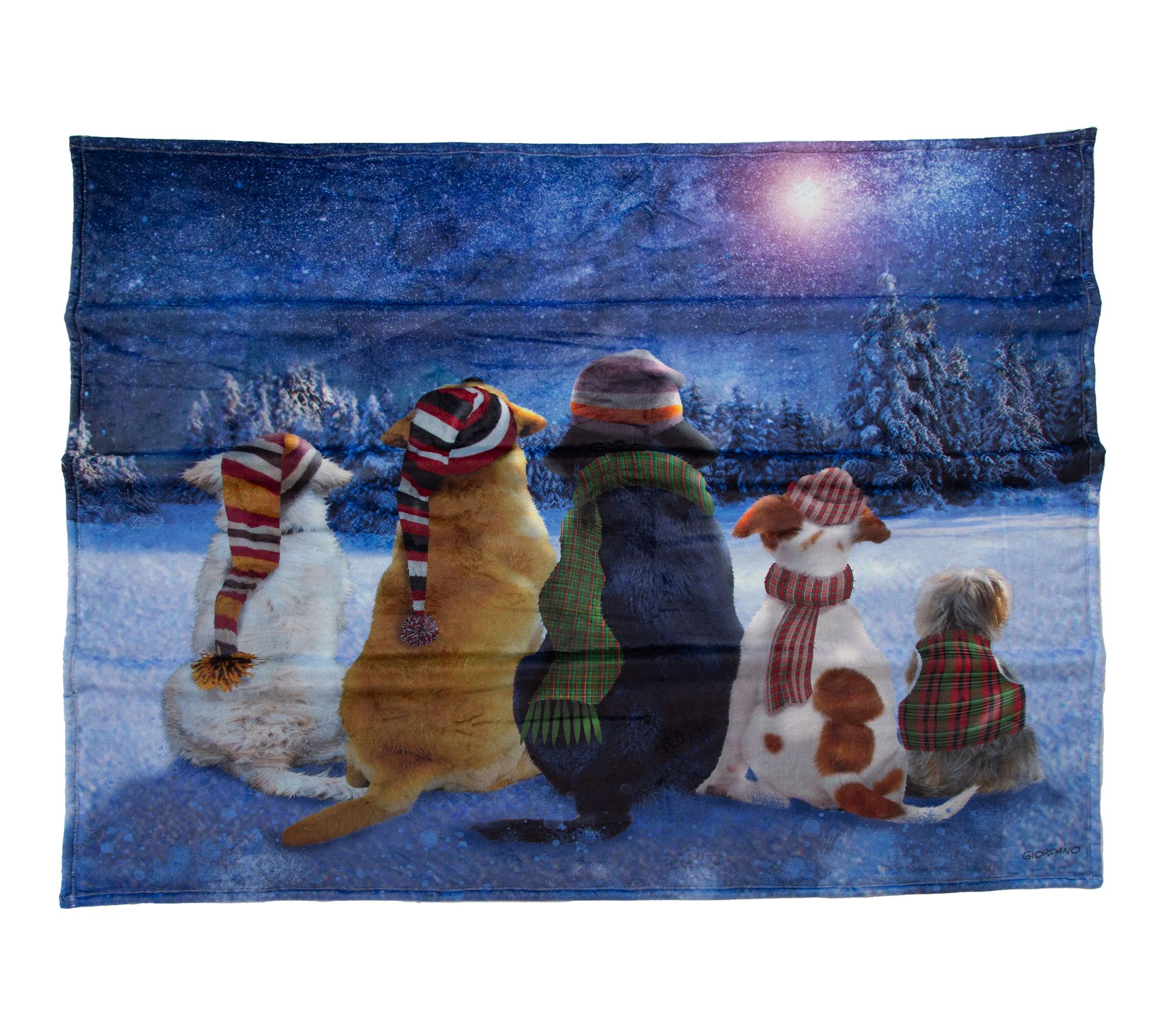 Berkshire 60x70 Winter Scenes Giordano Throw