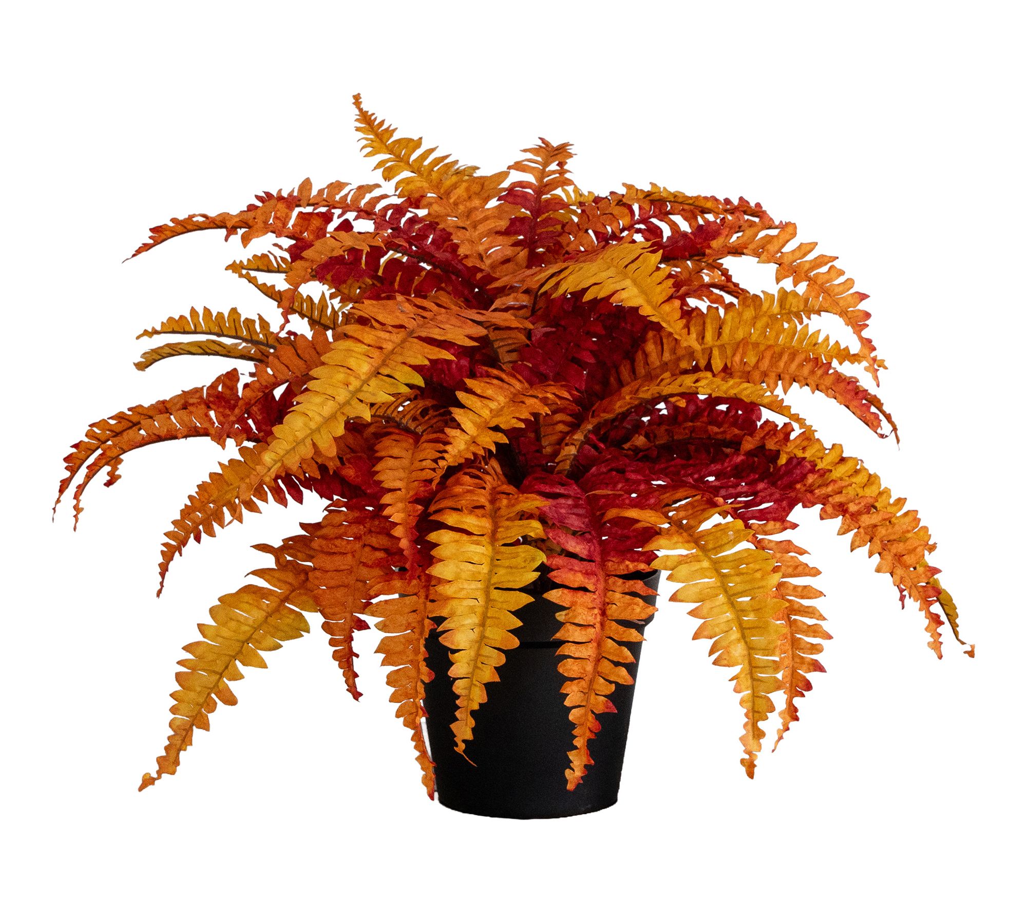 24-in Fall Boston Fern Plant by Nearly Natural