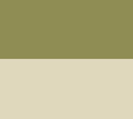 Green/Beige