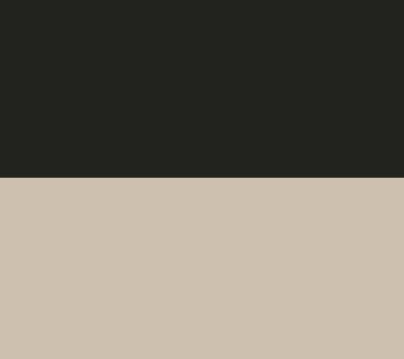 Black/Beige