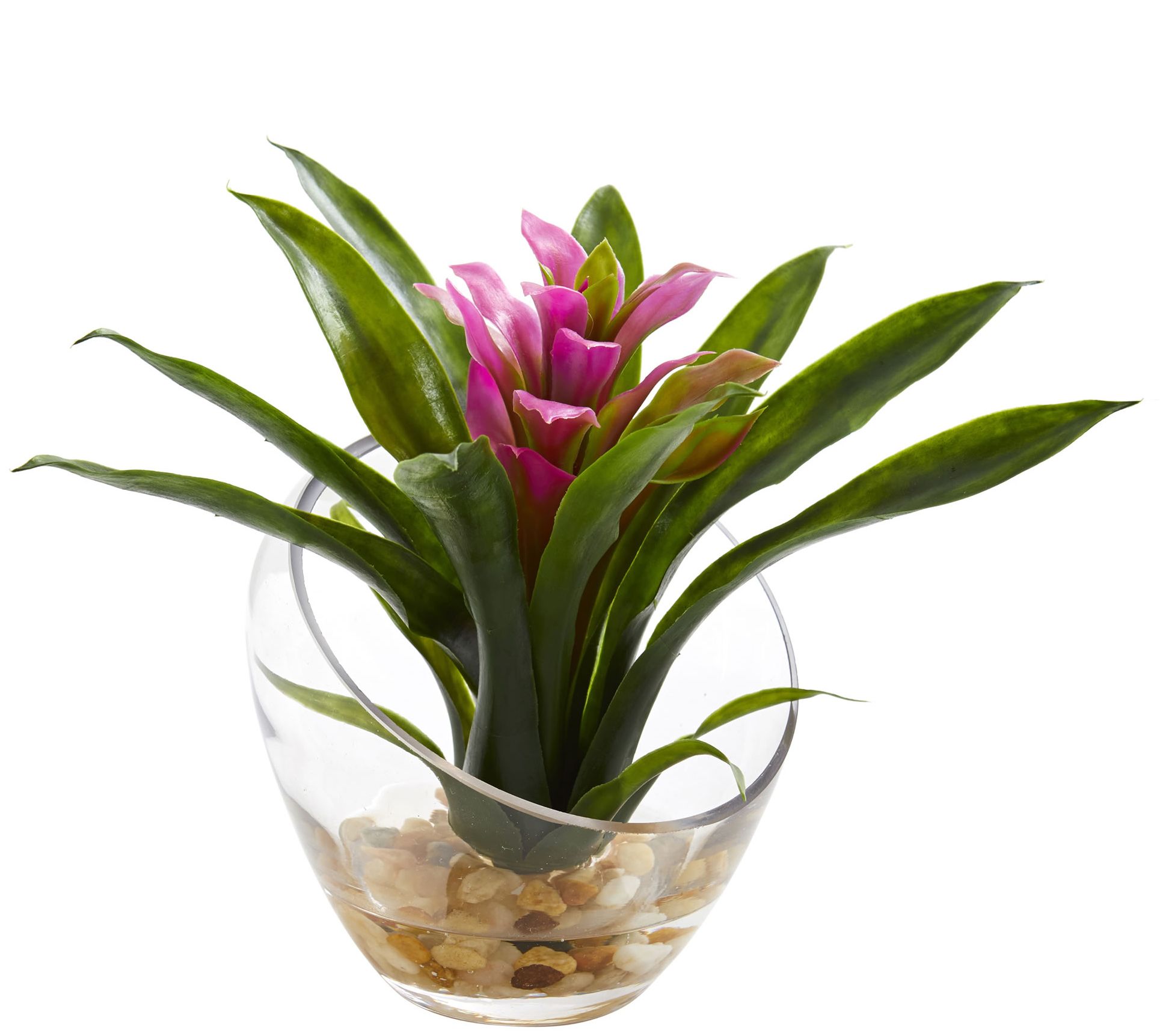 8" Tropical Bromeliad Vase Arrangement by Nearly Natural