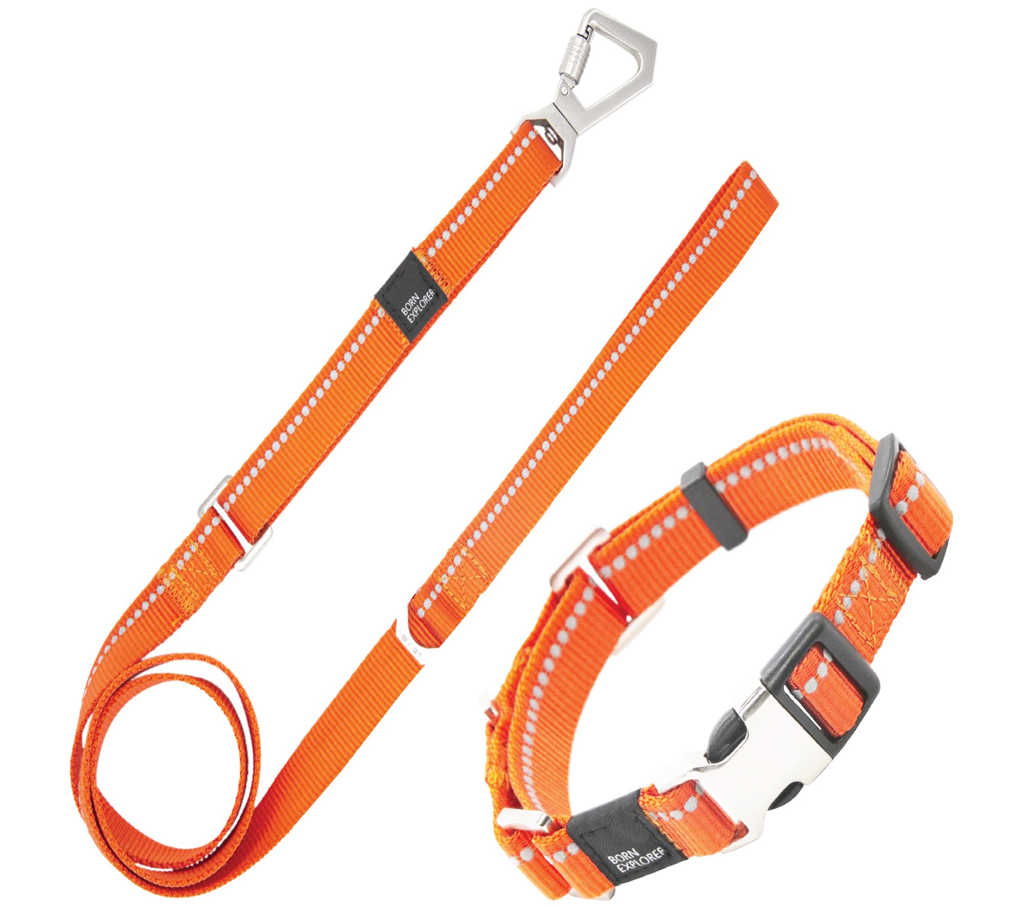 Pet Life 'Advent' 3M Reflective Training Dog Leash and Collar