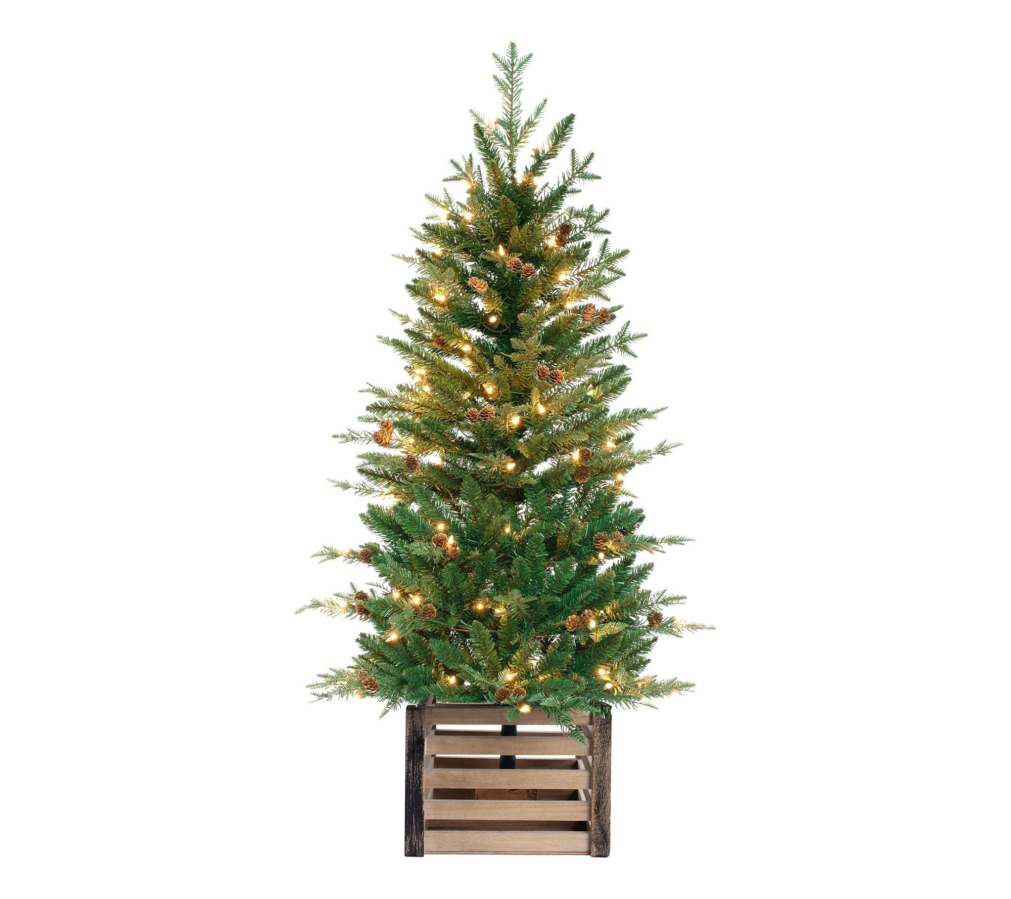 Haute Decor 4' Pre-lit Asheville Artificial FirPotted Tree