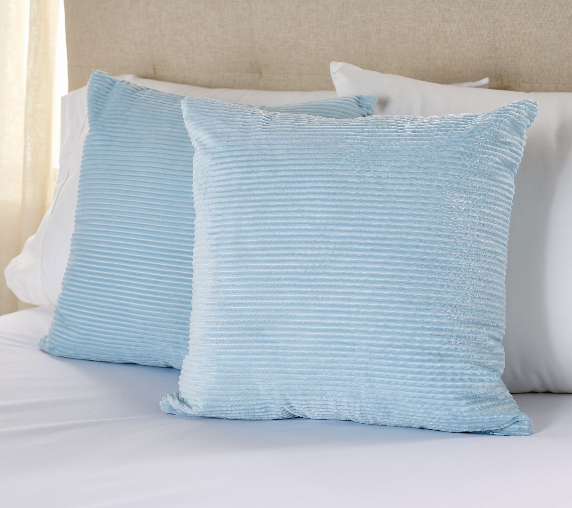 "As Is" Home Reflections S/2 Ribbed Velvet Plush 18x18 Dec Pillows