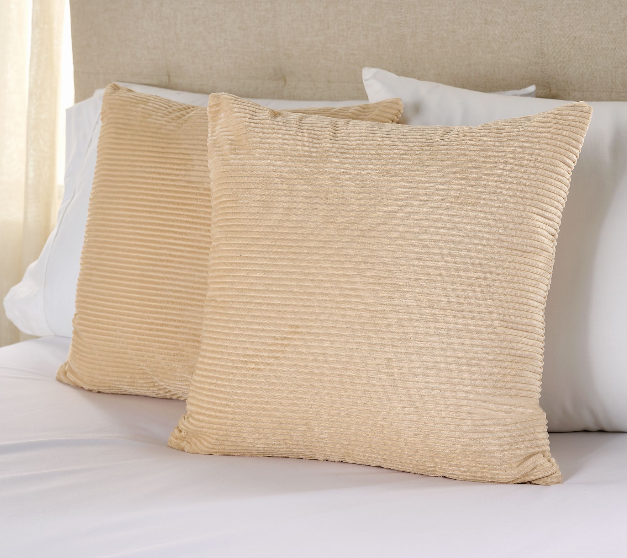 "As Is" Home Reflections S/2 Ribbed Velvet Plush 18x18 Dec Pillows