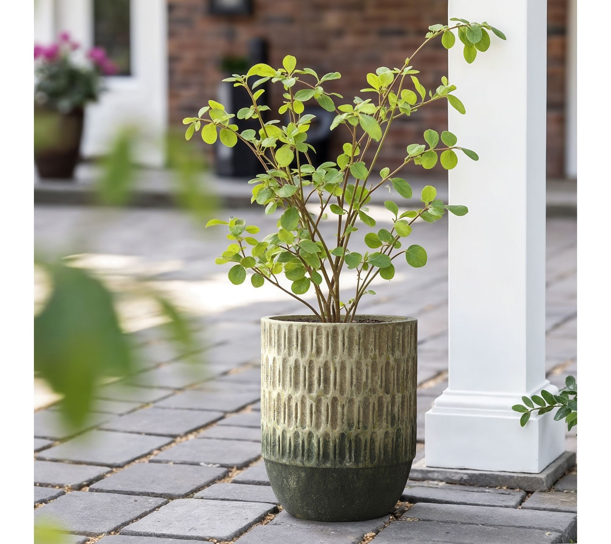 LuxenHome Old-World Brown with Green 16.5"H Cement Planter