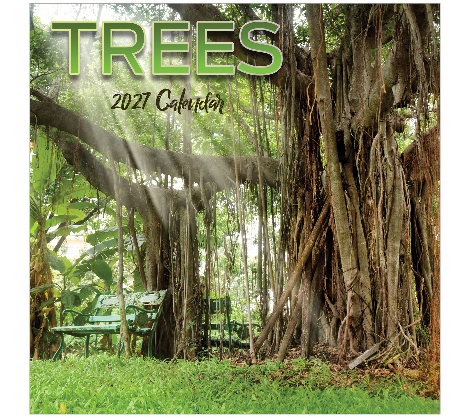TF Publishing 2027 Trees Wall Calendar