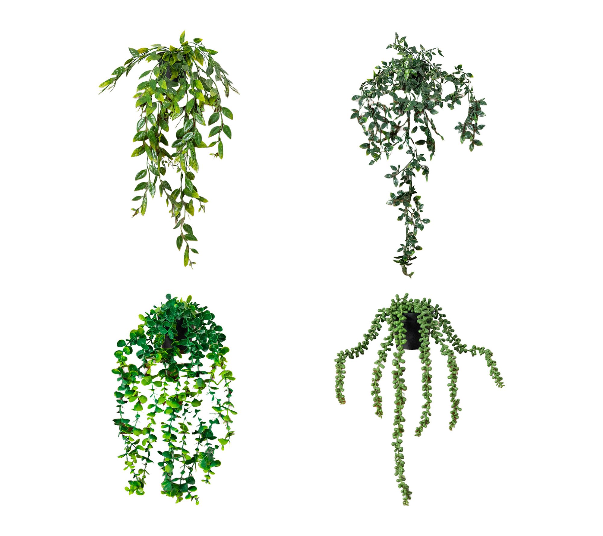 3.5-in Mixed Greens Hanging Plant - Set of 4 by Nearly Natural