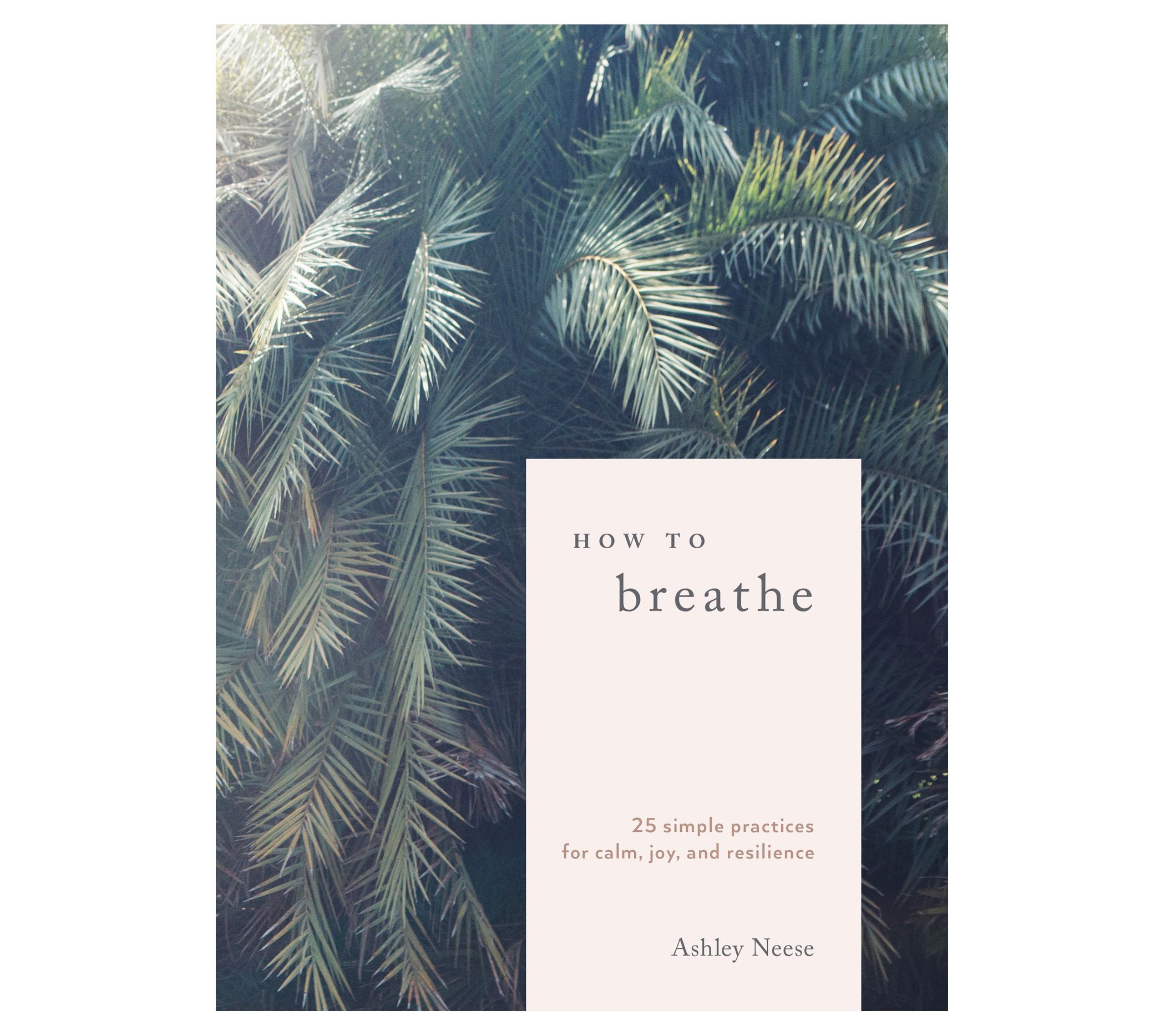 How to Breathe by Ashley Neese