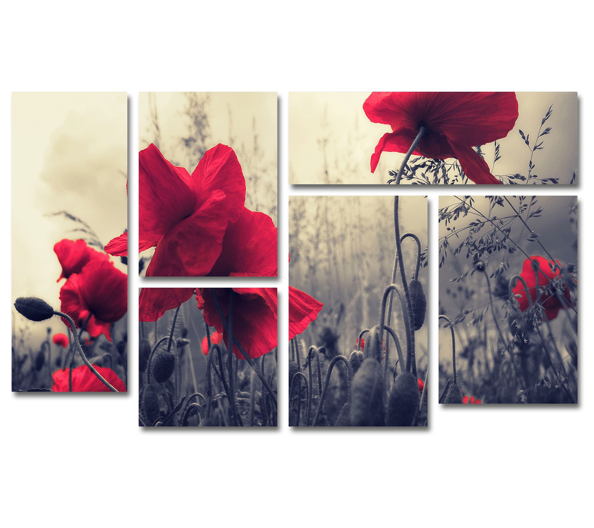 Lavish Home Philippe Sainte-Laudy Red For Love6-Piece Print