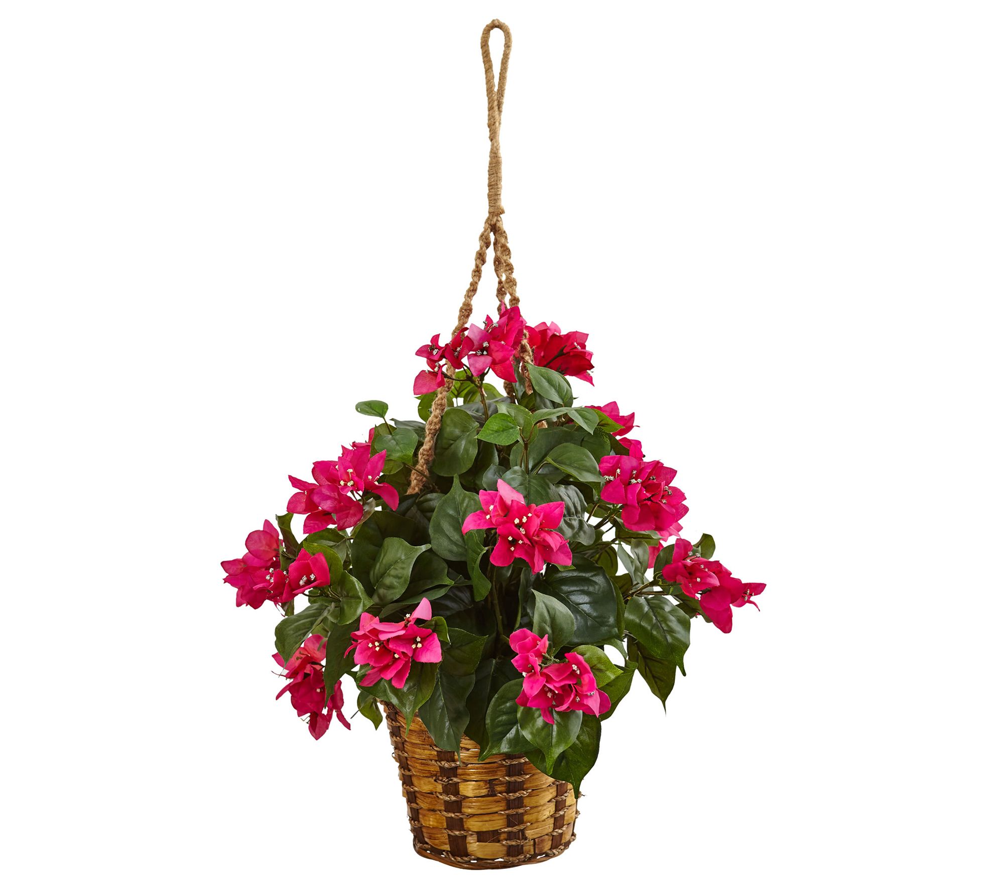 Bougainvillea in Hanging Basket by Nearly Natural