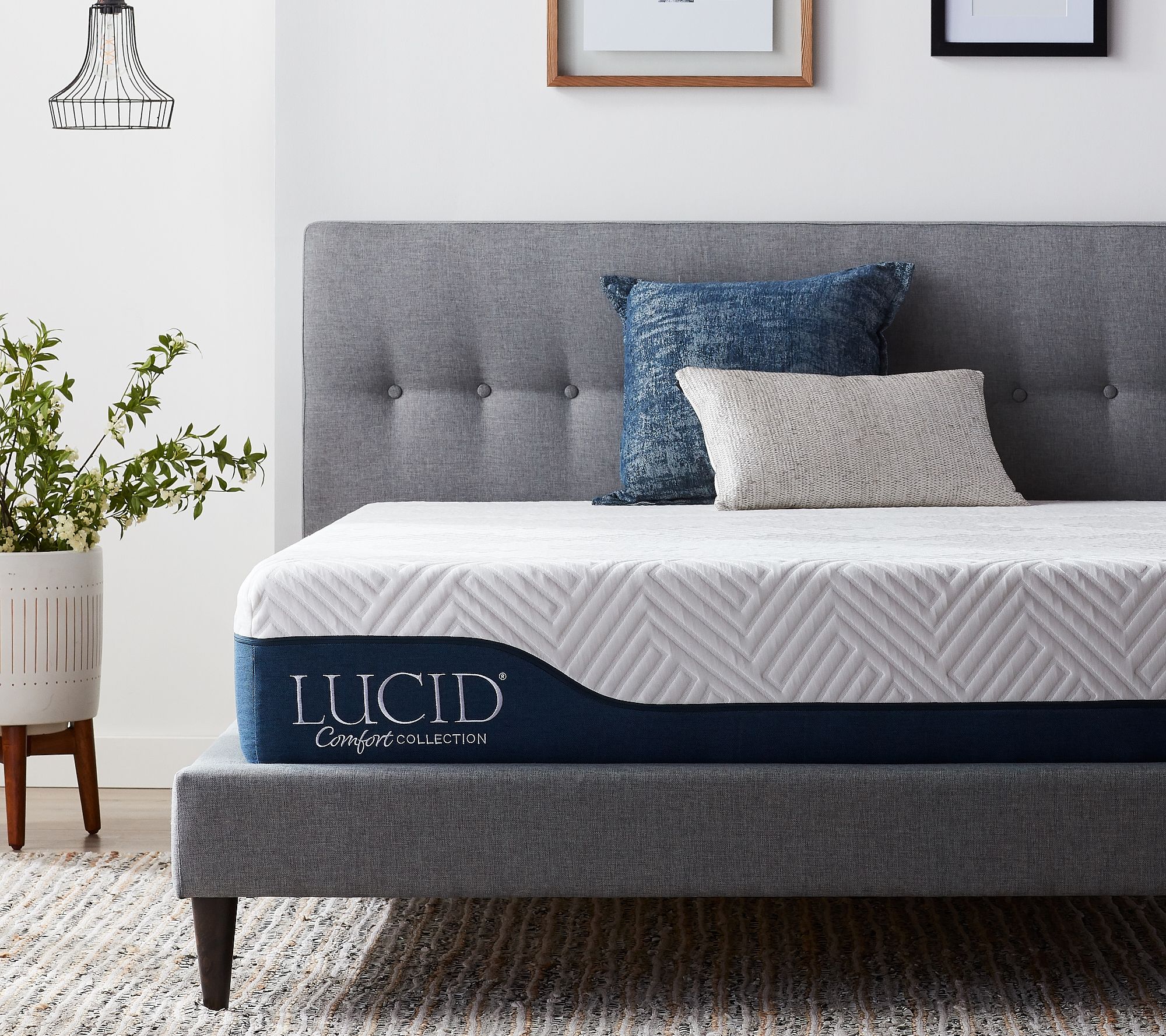 LUCID Comfort Collection 10