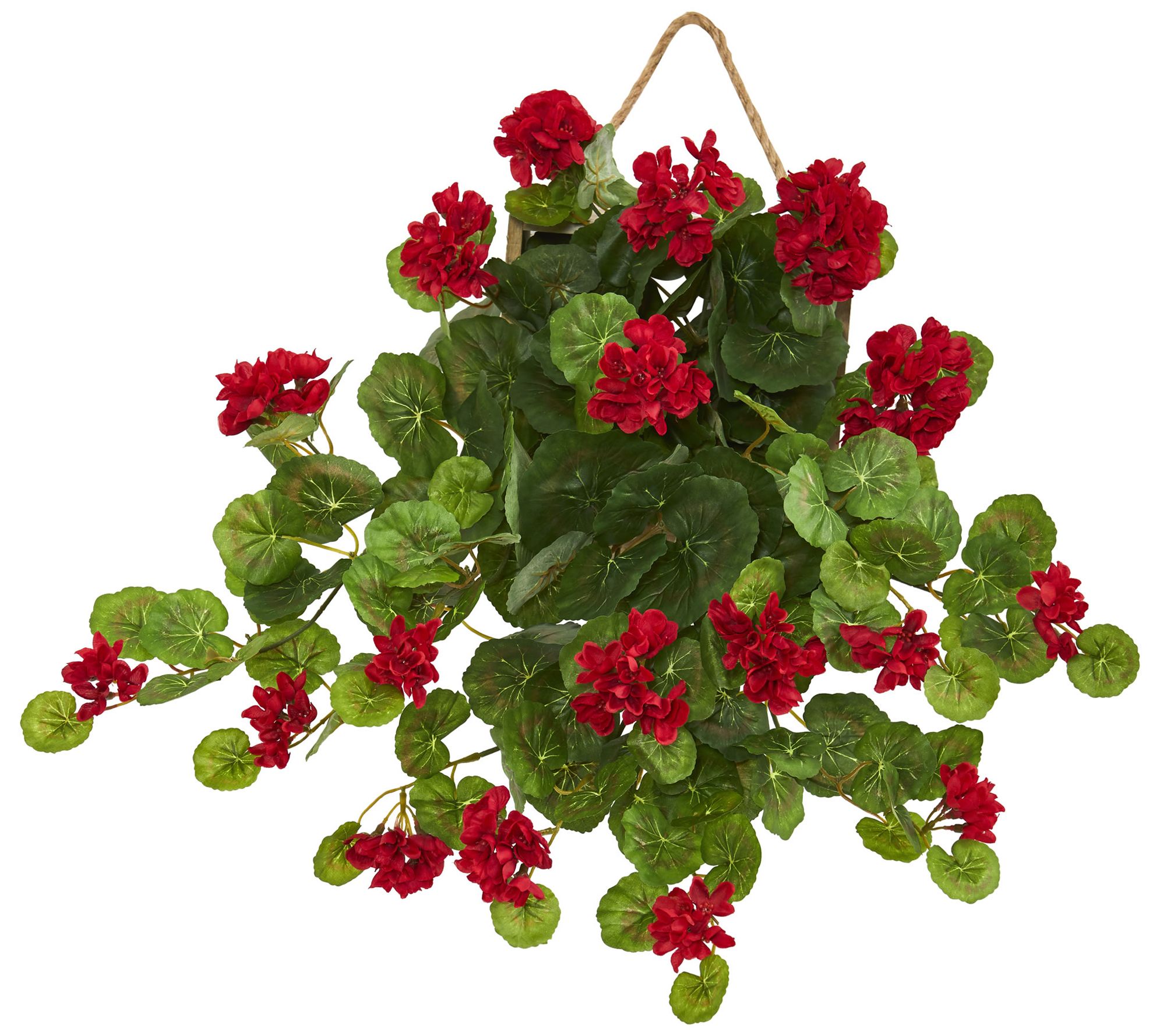 Geranium Plant in Decorative Hanging Frame by Nearly Natural - QVC.com