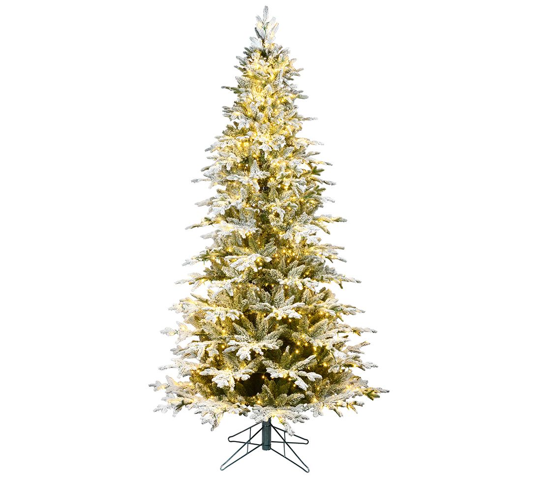 Vickerman 9' x 57" Flocked Kamas Fraiser 1700 LED lights