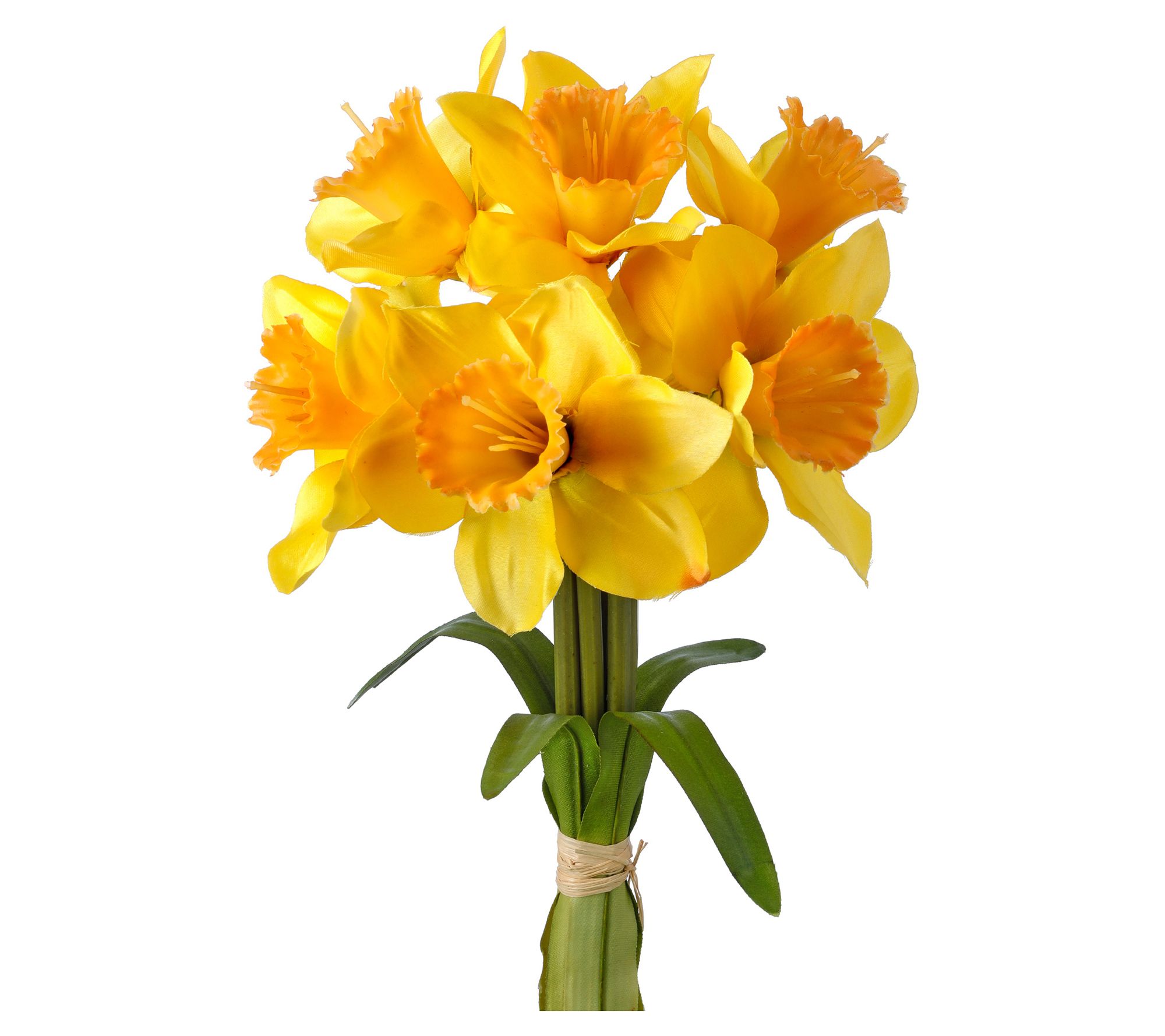 Daffodile Bunch 13