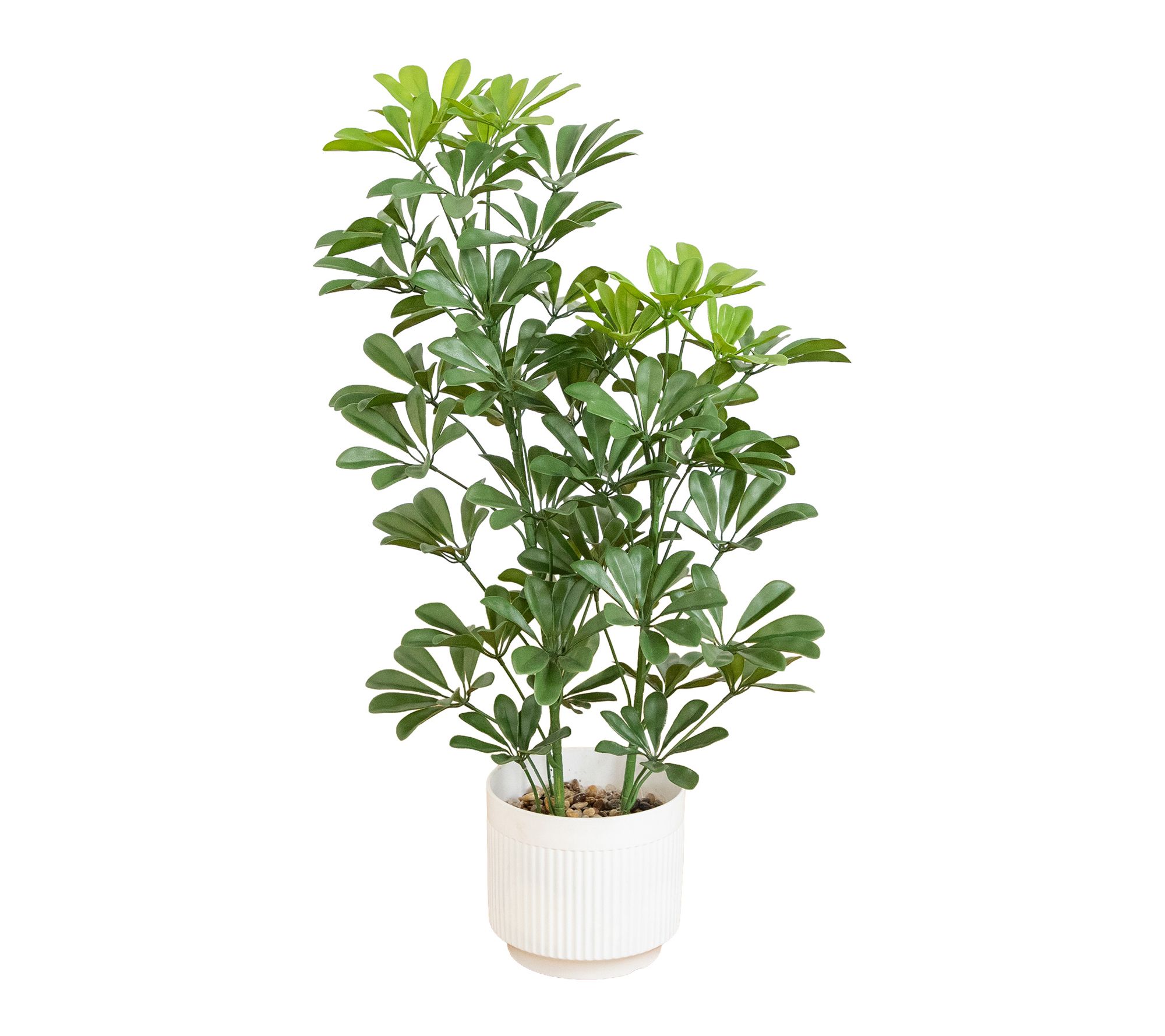 33-in Duck foot wood Plant in Pot UV by Nearly Natural