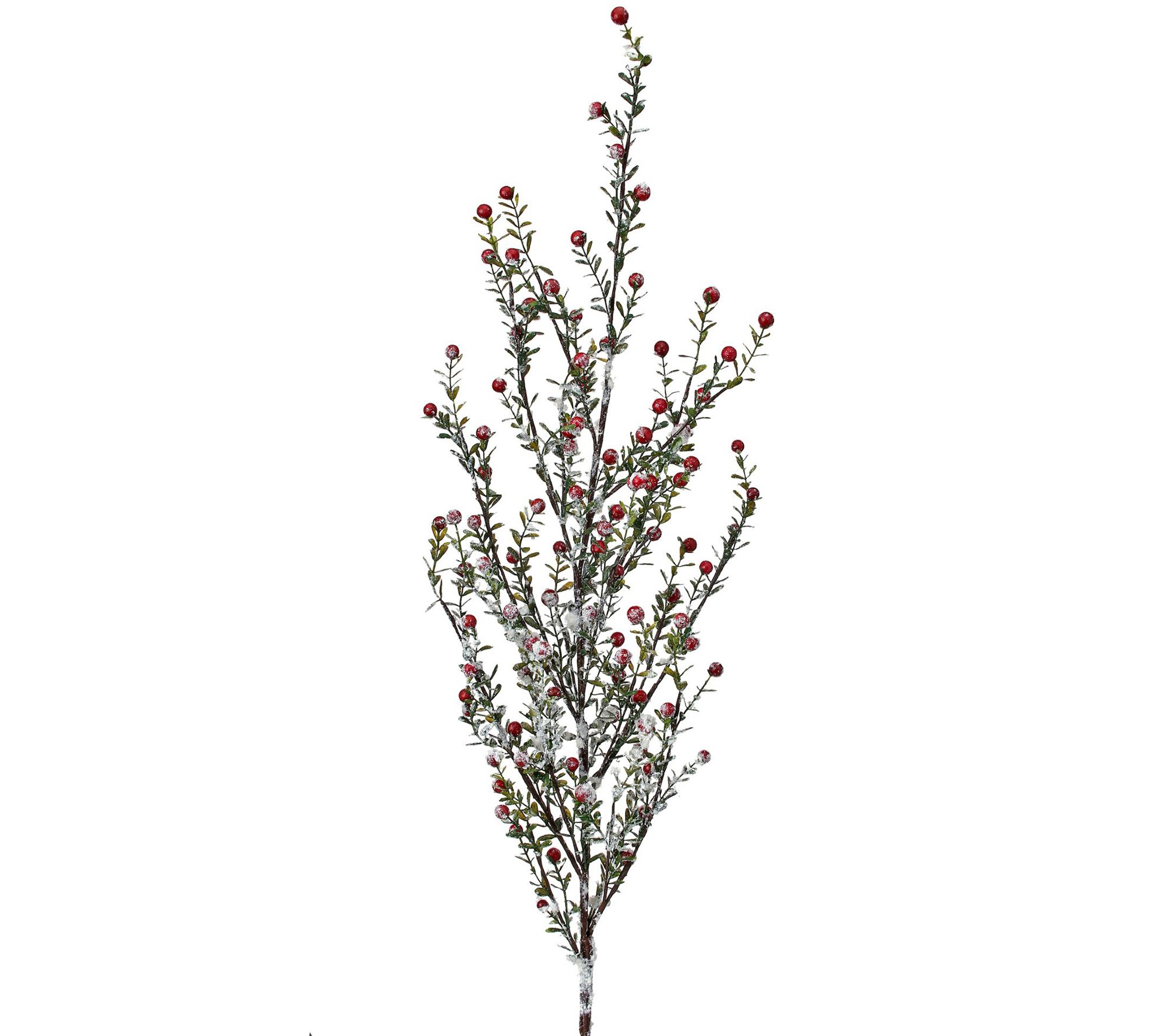 49" Waterproof Frosted Boxwood Leaf Berry Spray by Valerie