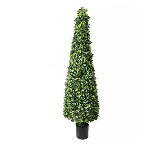 72" English Boxwood Cone Topiary by Valerie