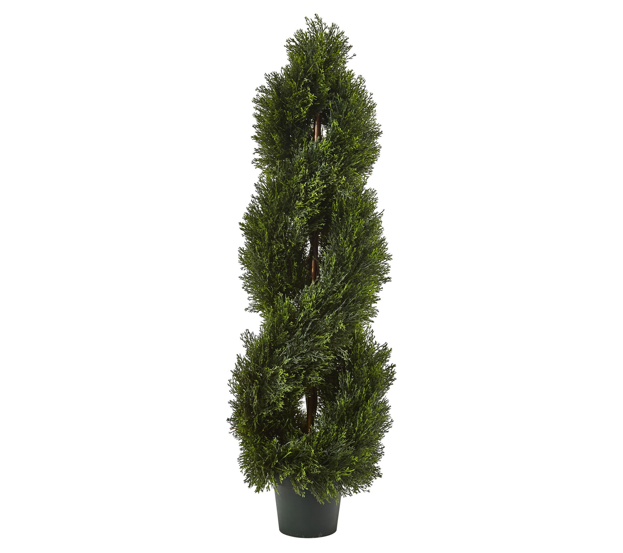 4' Double Pond Cypress Spiral Topiary by NearlyNatural