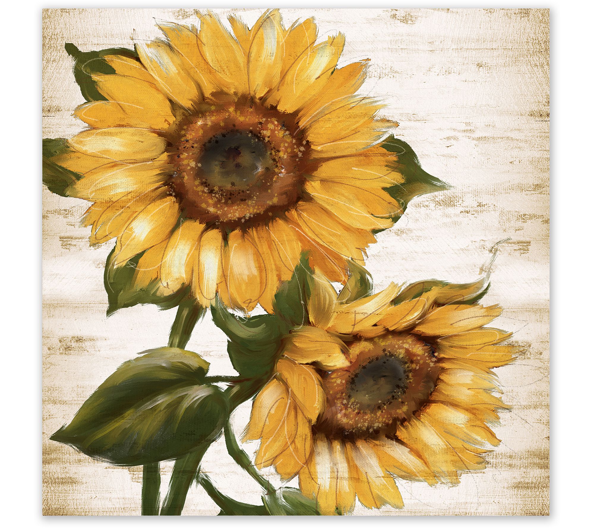 Courtside Market  Sunflower Summer II 30x30 Canvas Wall Art