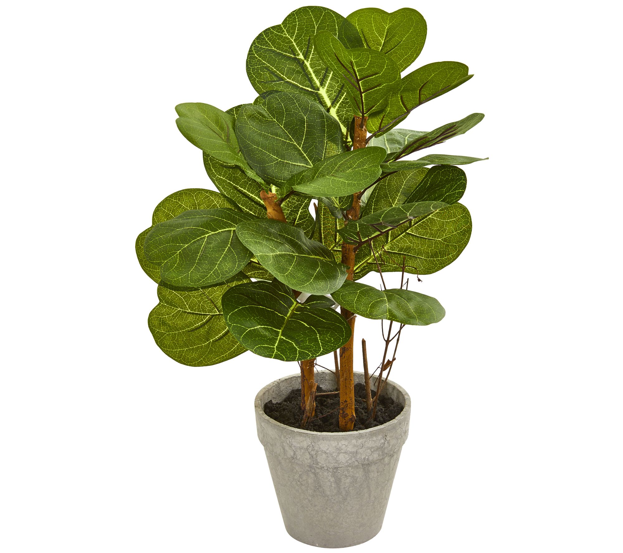 Nearly Natural 22" Fiddle Leaf Artificial Plant