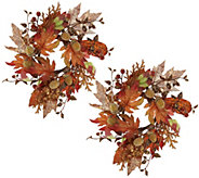 Shp9/5 Set-2 Autumn Beauty 10" Candle Ringsby Valerie - H221384
