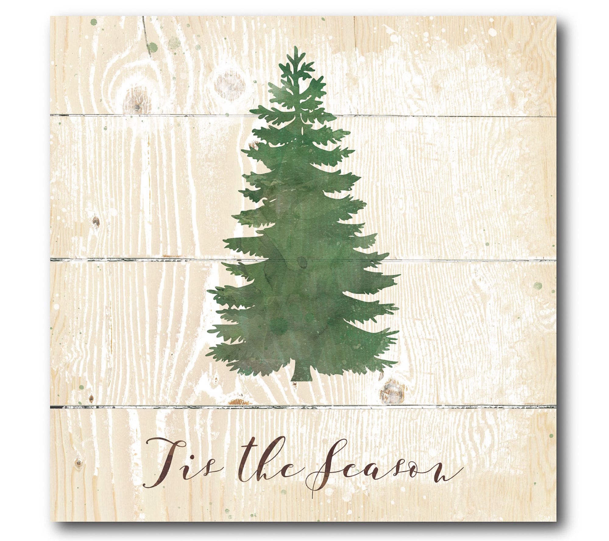 Courtside Market Evergreen 24" x 24" Canvas