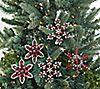 Martha Stewart Set of 5 Jeweled Snowflake Ornaments