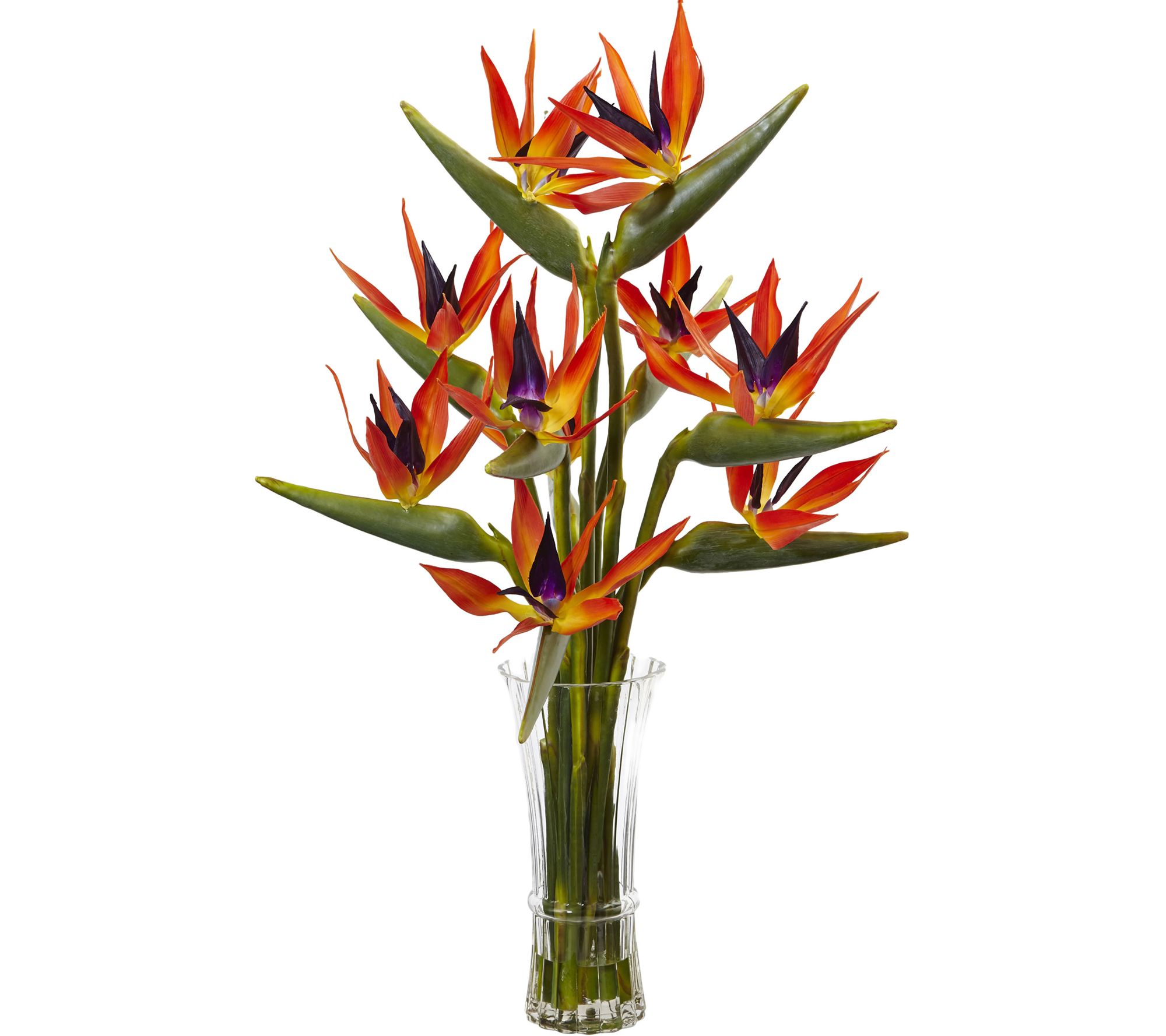 Large Birds of Paradise in Vase by Nearly Natural