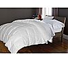 350TC Oversized White Goose Down and Feather F/Q Comforter