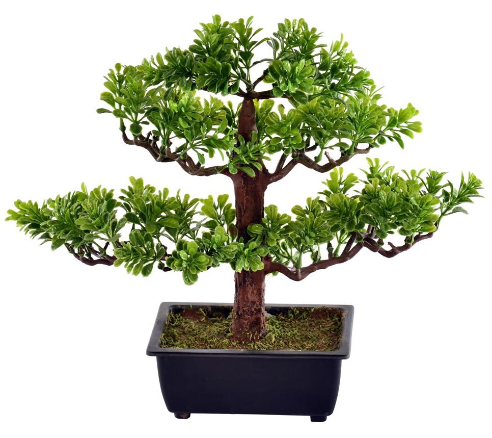 Vickerman 10" Artificial Potted Murraya BonsaiTree