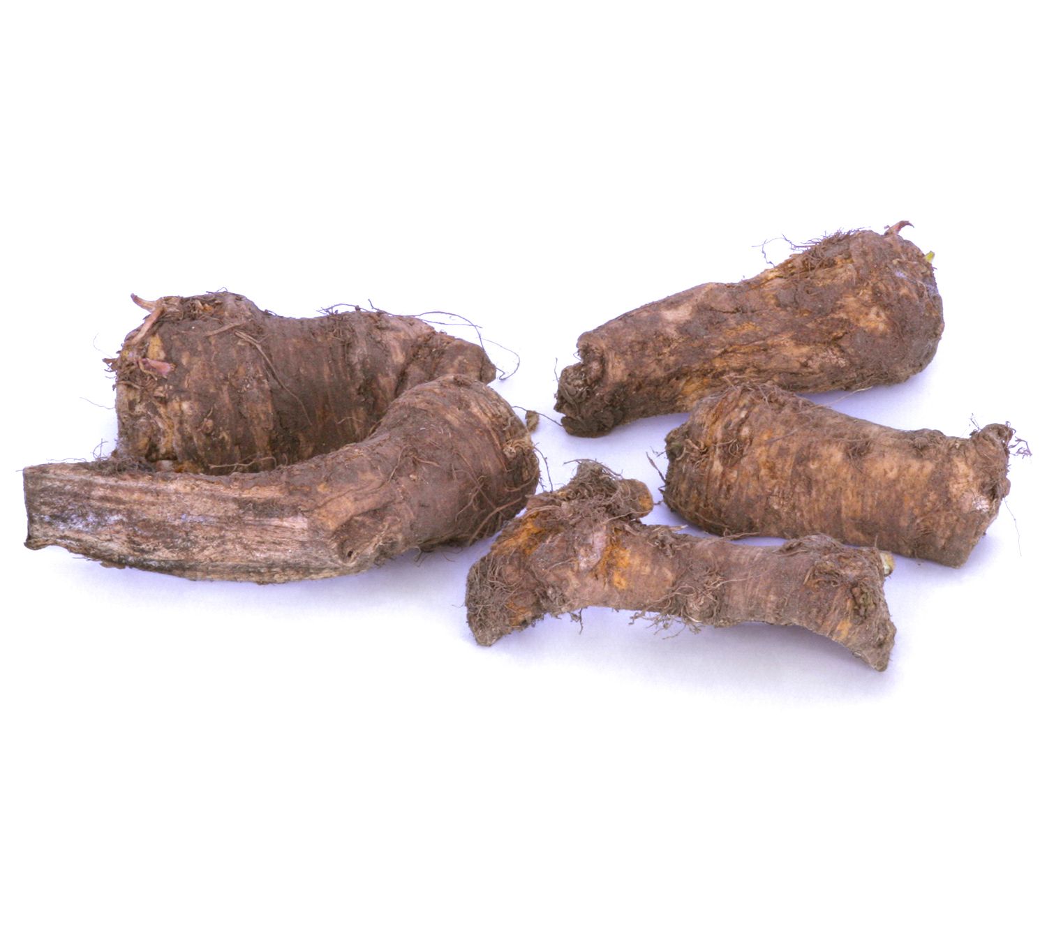 Van Zyverden Horseradish Set of 5 Plants