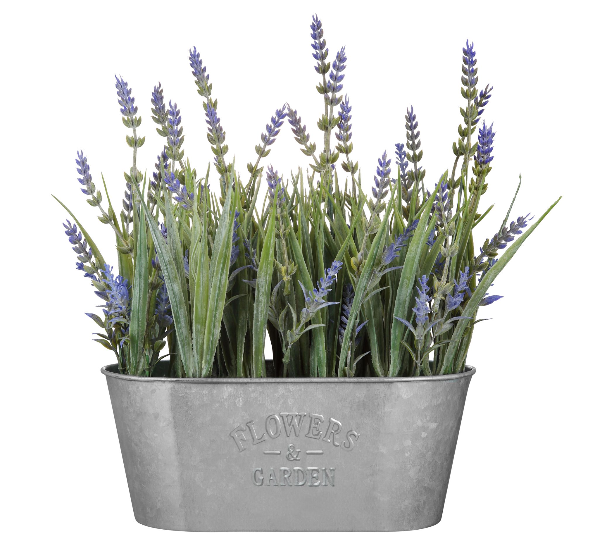 Haute Decor 10"Lavender Centerpiece in Galvanized Metal Pot