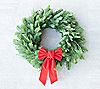Sweetwater Floral Holiday Wreath DIY Kit - 11/28 Ship Week
